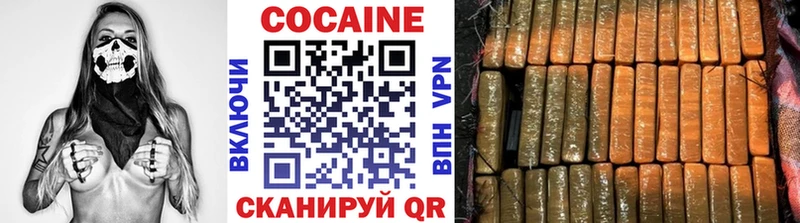 COCAIN FishScale  как найти закладки  Ершов 