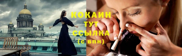 шишки Балабаново
