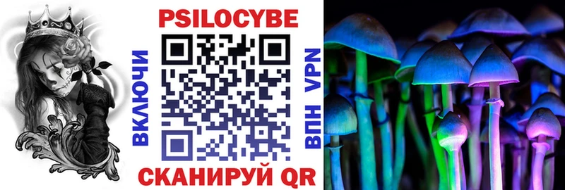 сколько стоит  Ершов  MEGA как войти  Галлюциногенные грибы прущие грибы 